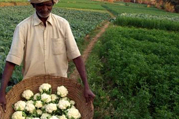 Climate Smart Agriculture for mitigating Climate Change