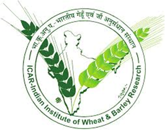Indian Institute of Wheat and Barley Research Indian Institute of Wheat and Barley Research