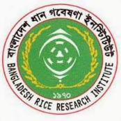 Bangladesh Rice Research Institute