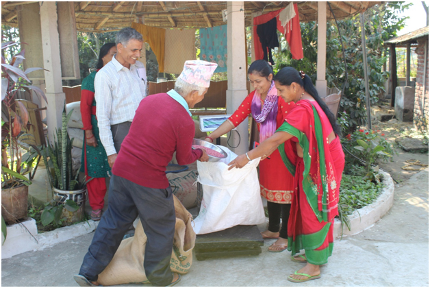 Innovative Seed System (Nepal)