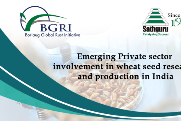 Emerging Private sector involvement in wheat seed research and production in India