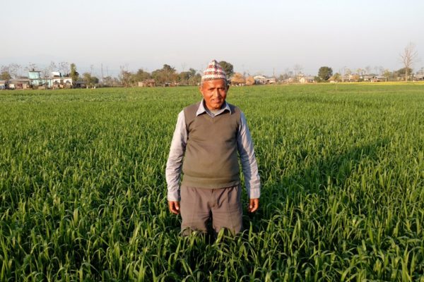 Community-based Seed System Initiative thrives in Nepal