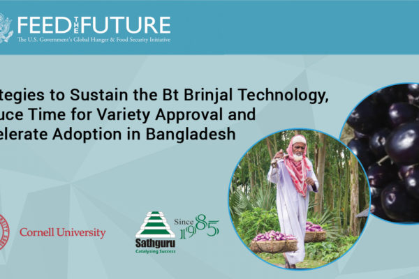 Strategies to Sustain the Bt Brinjal Technology, Reduce Time for Variety Approval and Accelerate Adoption in Bangladesh
