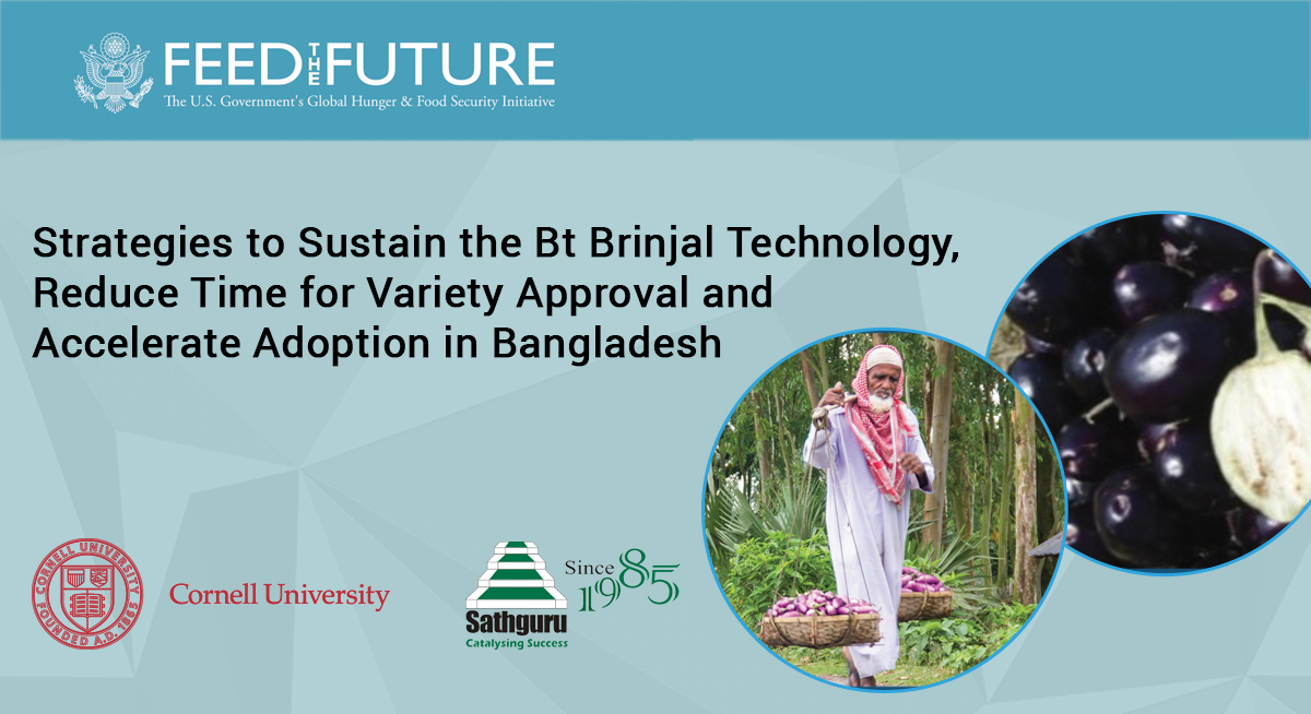 Strategies to Sustain the Bt Brinjal Technology,