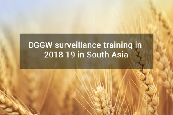 DGGW surveillance training in 2018-19 in South Asia