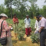 feed-the-future-delegation-visits-bari