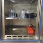 12. Drying the jars in hot air oven