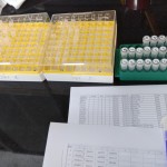 2. Preparing the sample tubes and racks