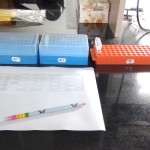8. Final clean tubes in microracks