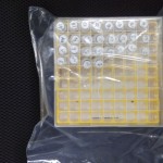 9. Back up samples (2ml tubes) for storage