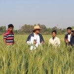 Interacting with professor and students of plant breeding during the field observation