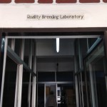 lab