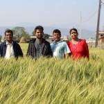 Visit to Seed Production Cluster, Rambagh, Chitwan-2
