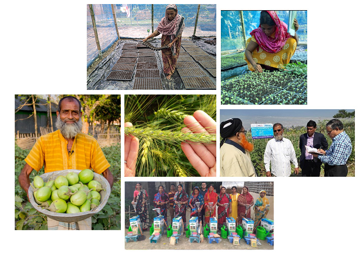 Our Work In Bangladesh