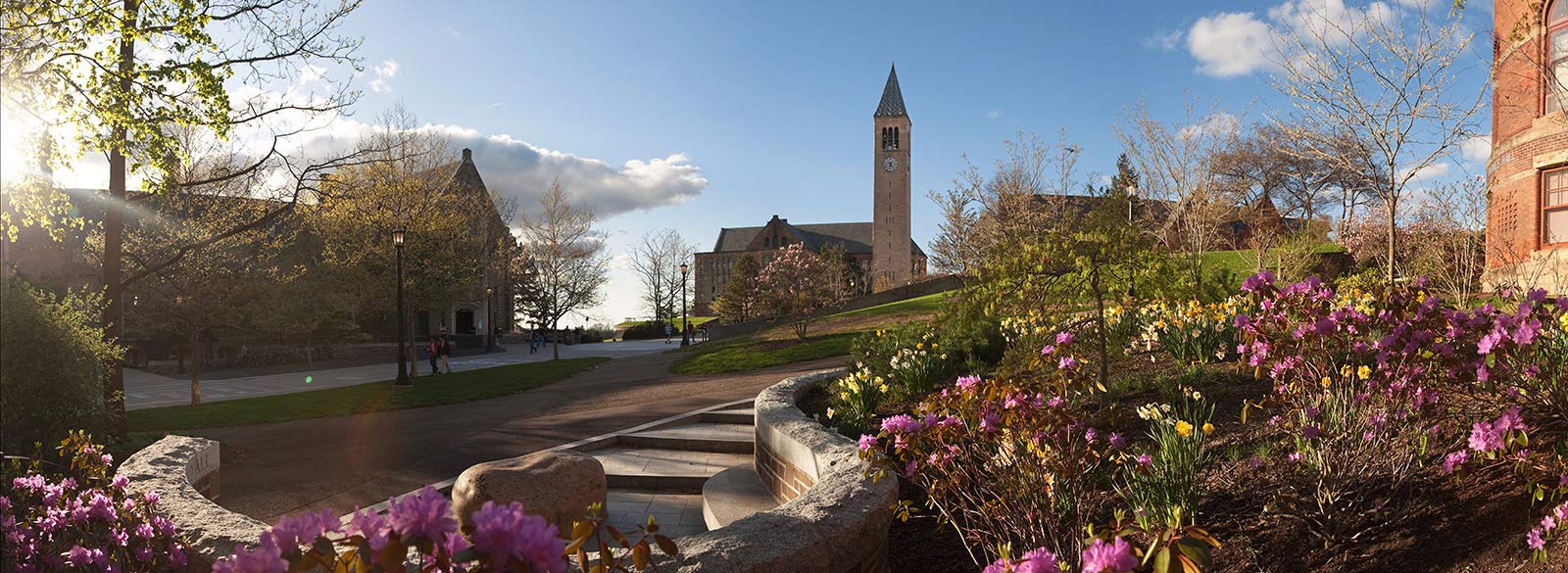 Cornell University