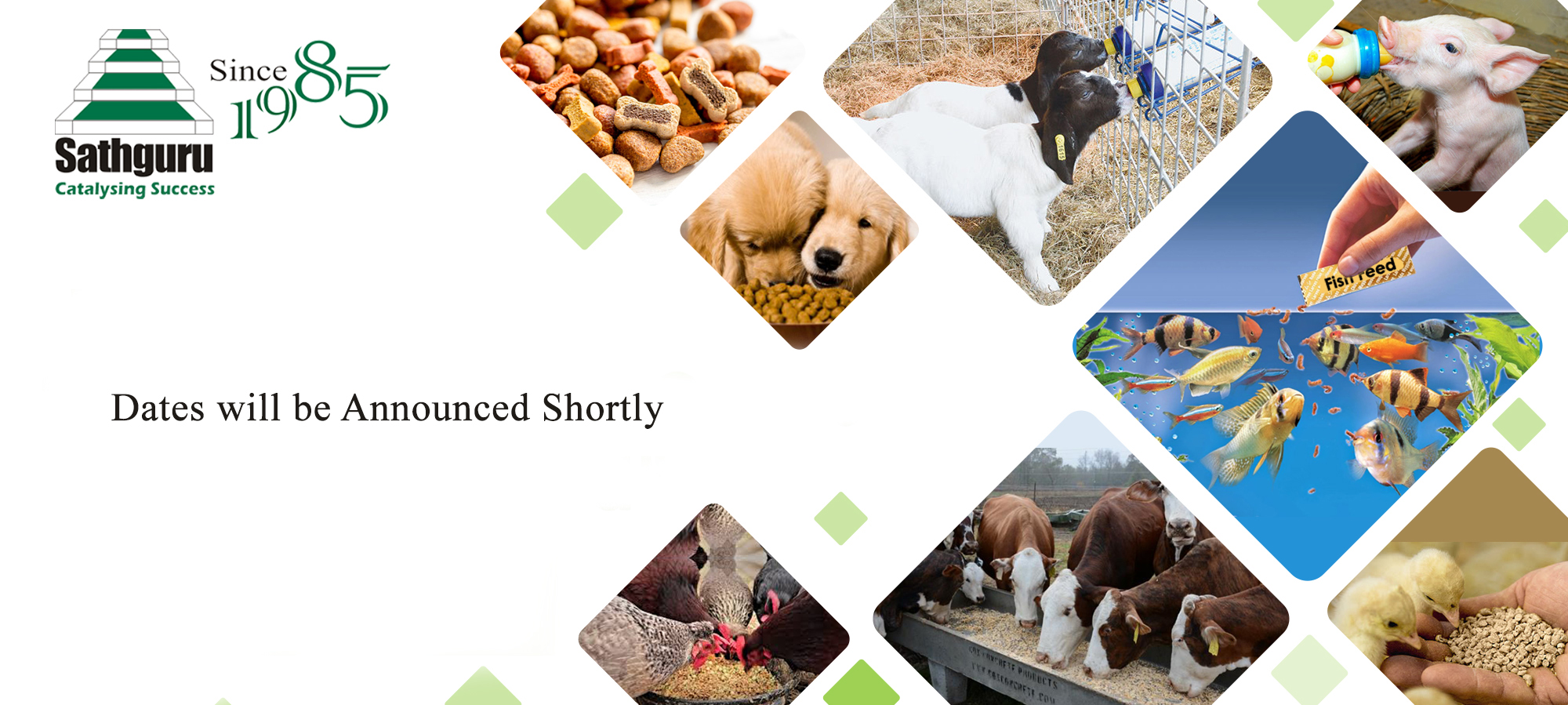 fspca-animal-food
