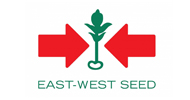 ews