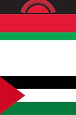 flag-13-11
