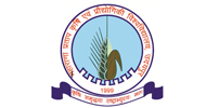 mp
