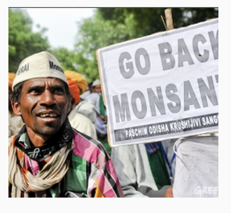 India emerging as epicenter of GMO crop research but foreign financed protests slow adoption