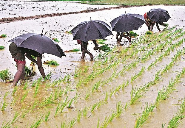 Huge potential for agri export from northeast: Study