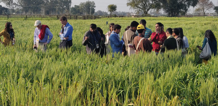 SAARC wheat rust training programme