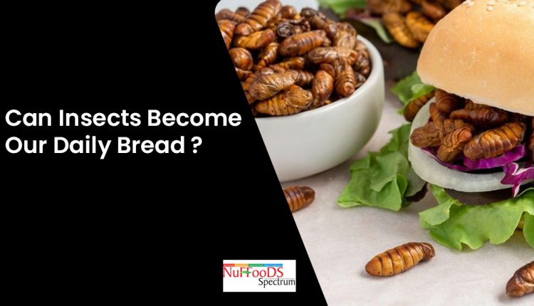 Can Insects Become Our Daily Bread?