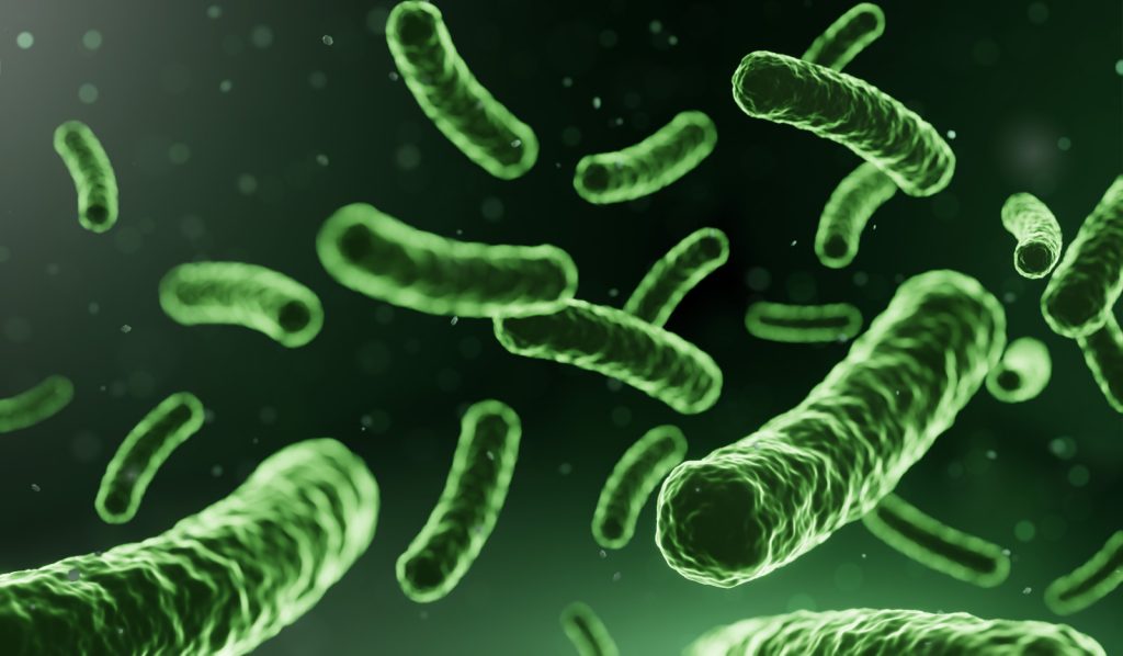 Intensify Research On Emerging Concepts Of Probiotics