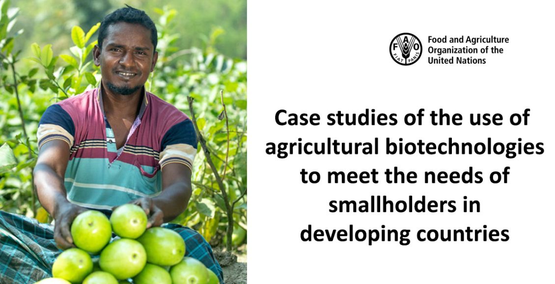 Case studies of the use of agricultural biotechnologies to meet the needs of smallholders in developing countries