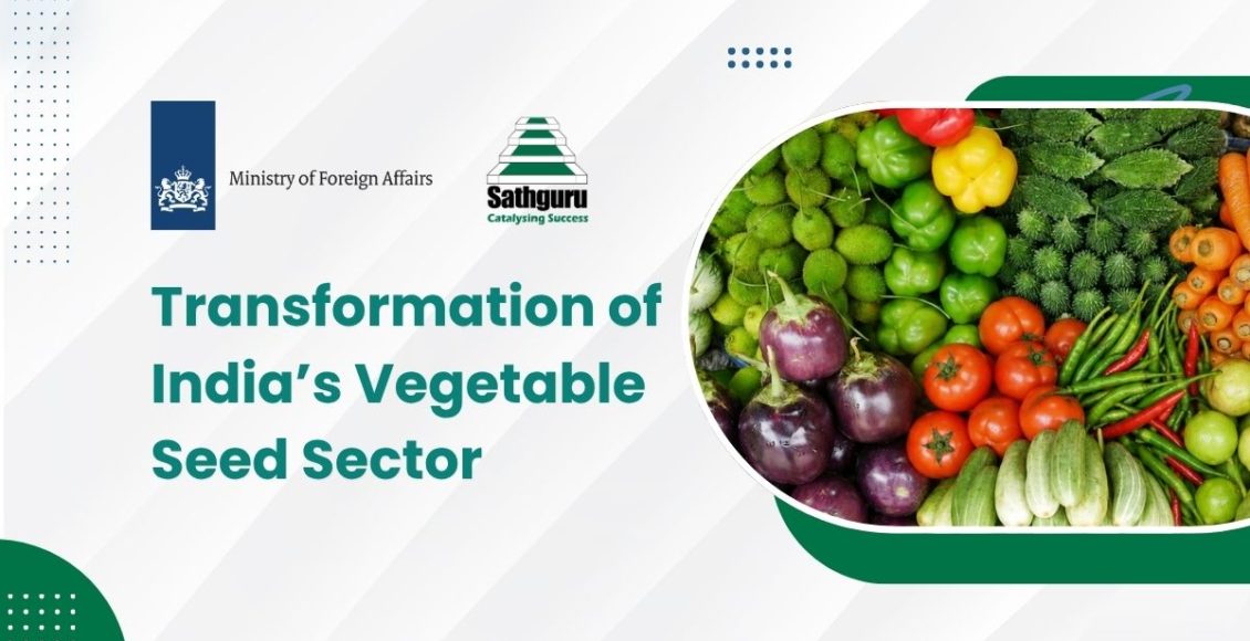 Transformation of India’s Vegetable  Seed Sector