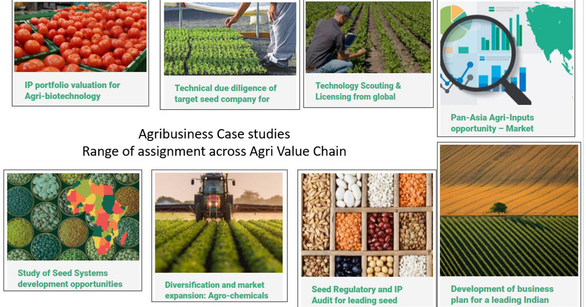 Agribusiness Case Study