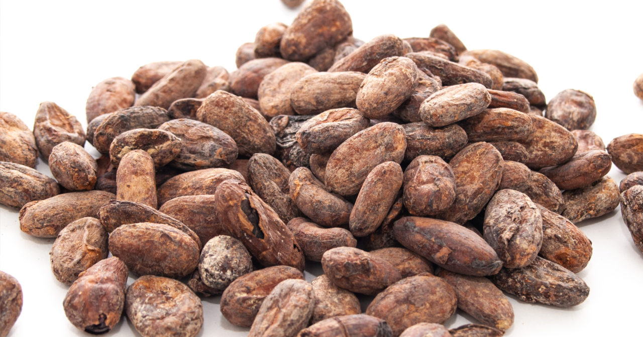 Differentiated product and business strategy for competitive positioning of cocoa products startup