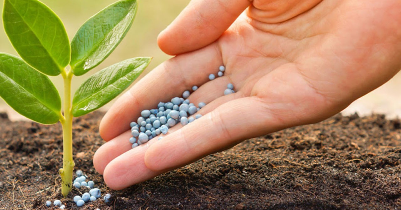 II. Factors to Consider When Customizing Fertilization