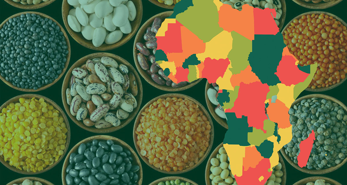https://www.sathguru.com/wp-content/uploads/2020/07/seed-systems-development-in-african-1200x640.jpg